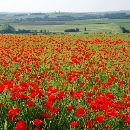 Daire Am Eifelsteig Vulkaneifel-auszeit Üdersdorf