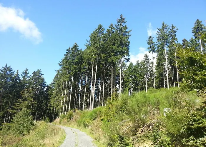 Апартаменты Am Eifelsteig Vulkaneifel-auszeit