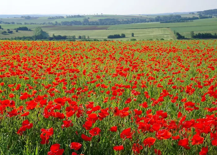 Апартаменты Am Eifelsteig Vulkaneifel-auszeit Udersdorf